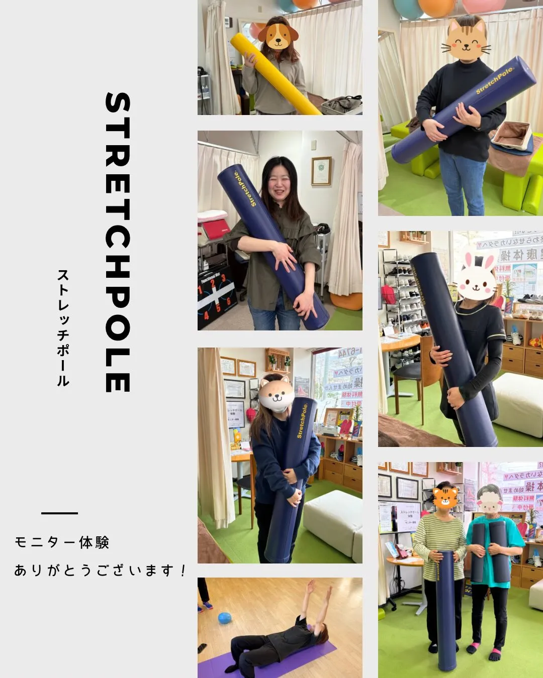 ストレッチポールの体験モニターを実施中です!✨